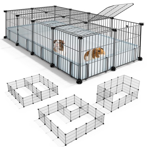 Bucatstate guinea pig - bucatstate, cages